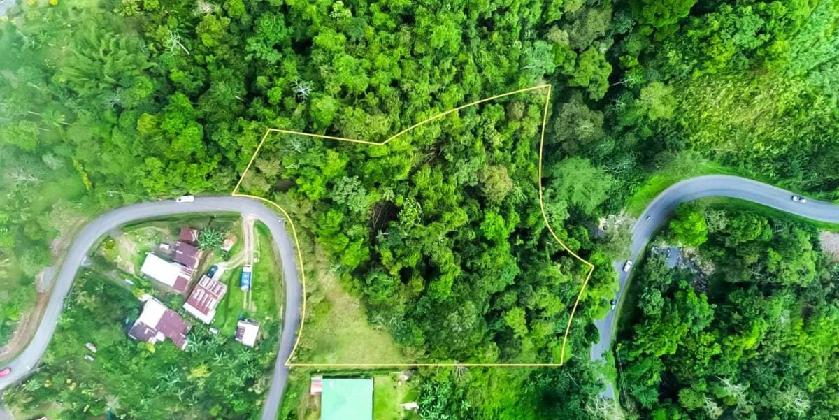 Propiedad en Turrialba