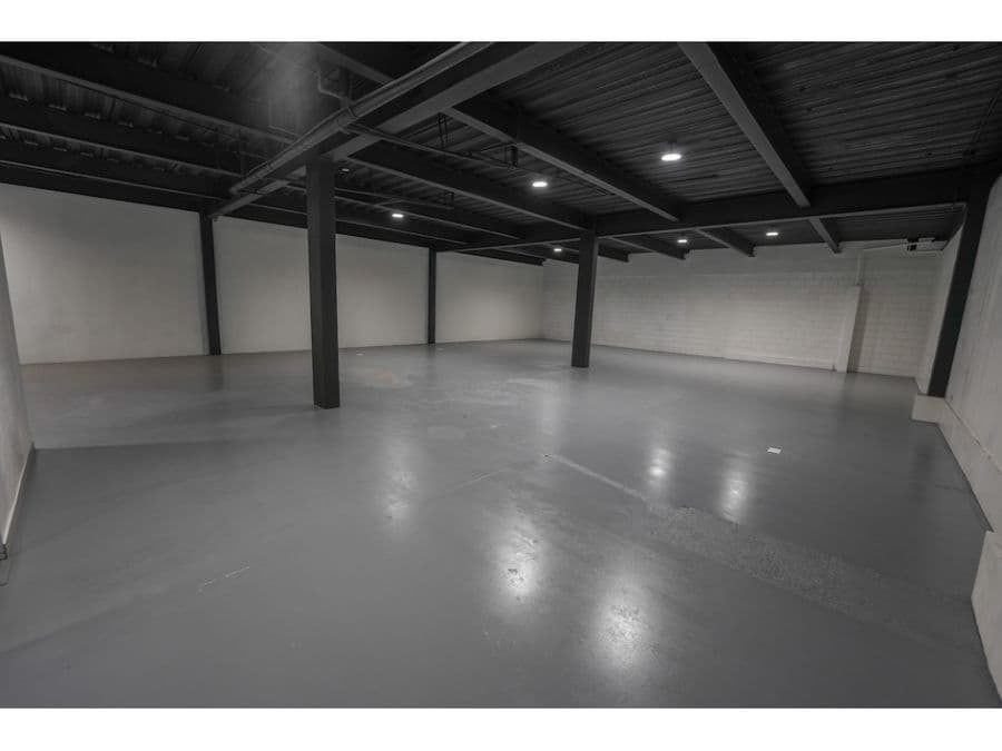 Bodega en San Rafael