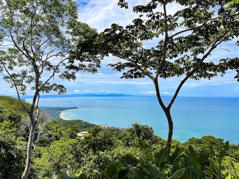 Land at Bahía Ballena