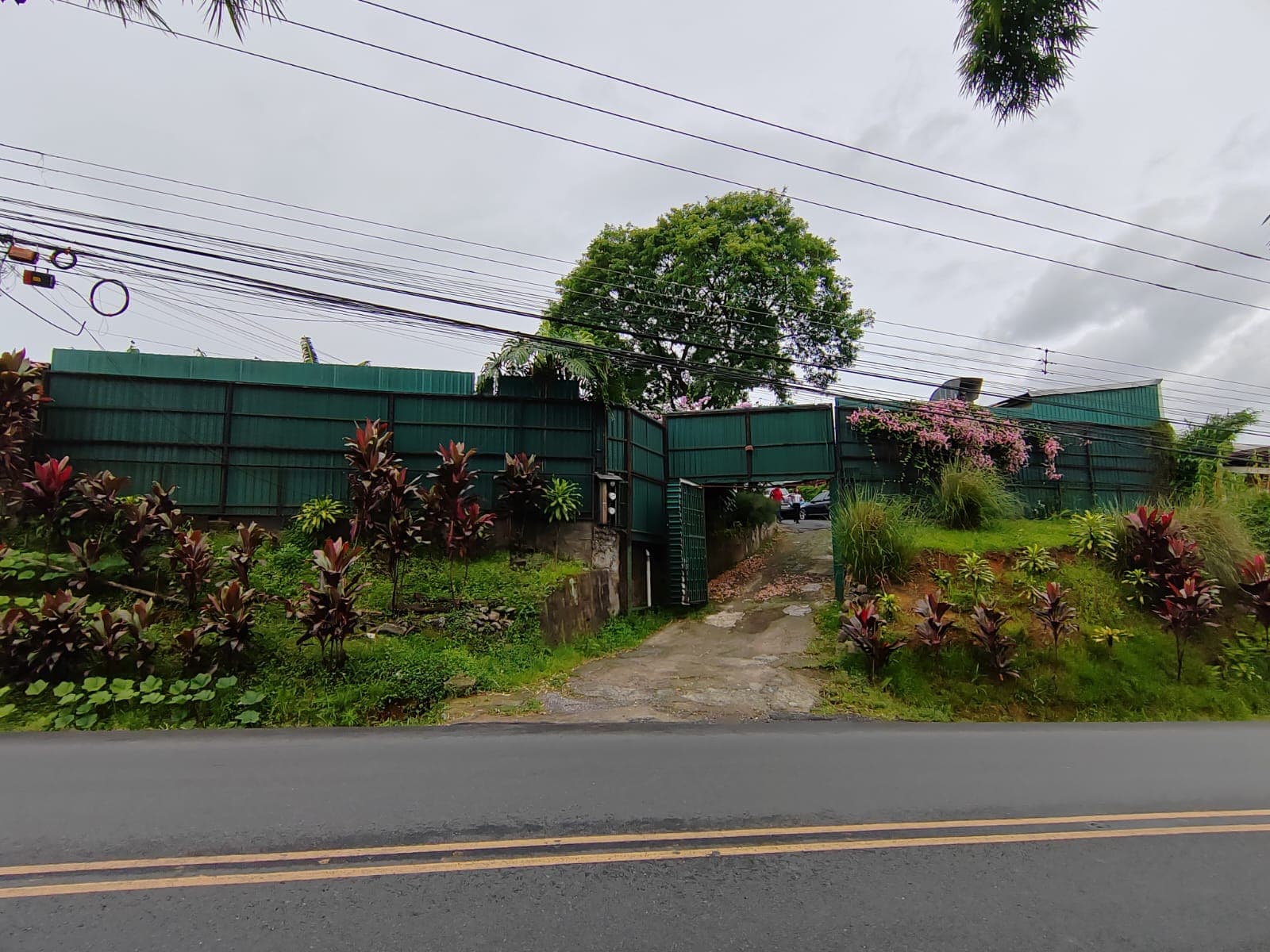 Comercial en San Rafael Arriba