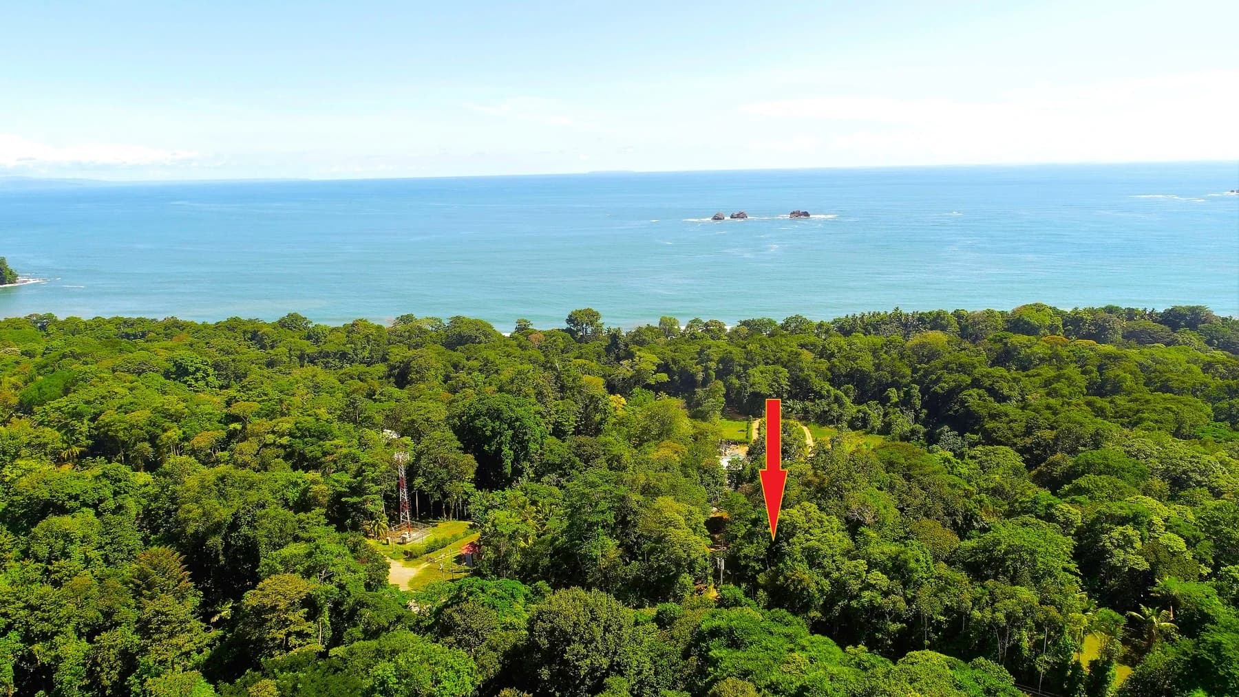 Land at Bahía Ballena