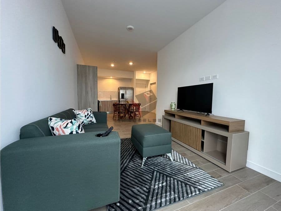 Apartment at Sánchez