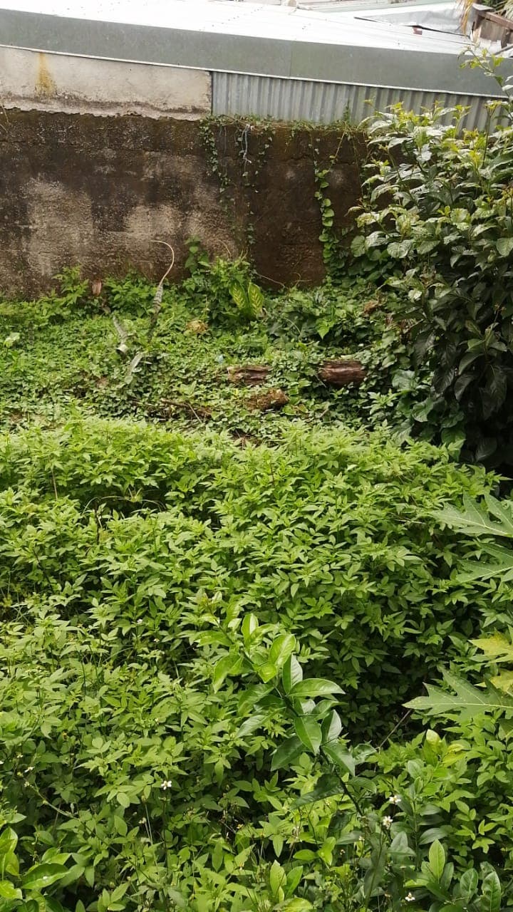 Terreno en San Rafael Abajo