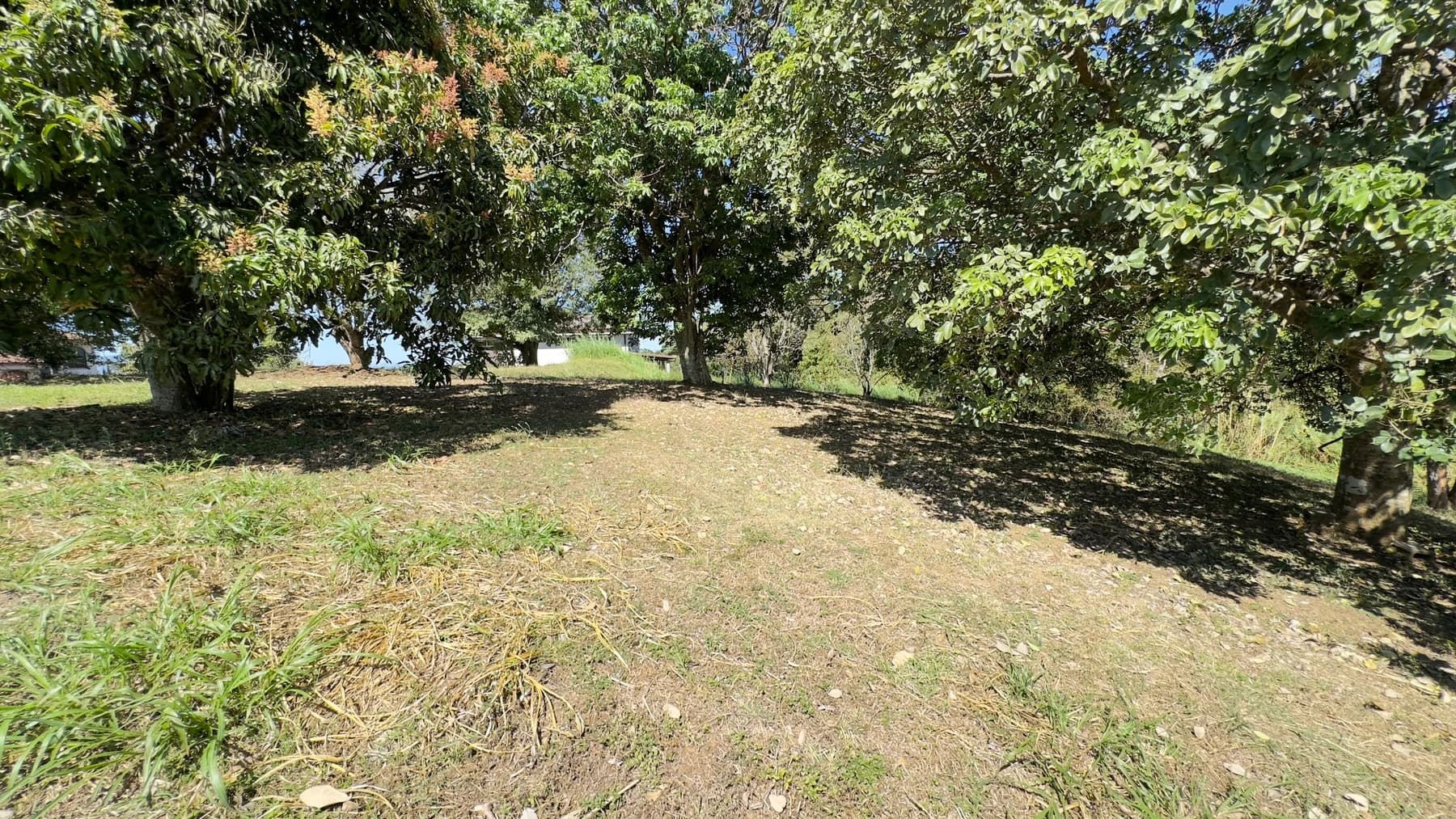Terreno en Condominio Hacienda Gregal