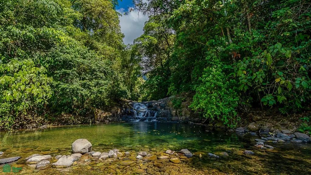 Land at Bahía Ballena