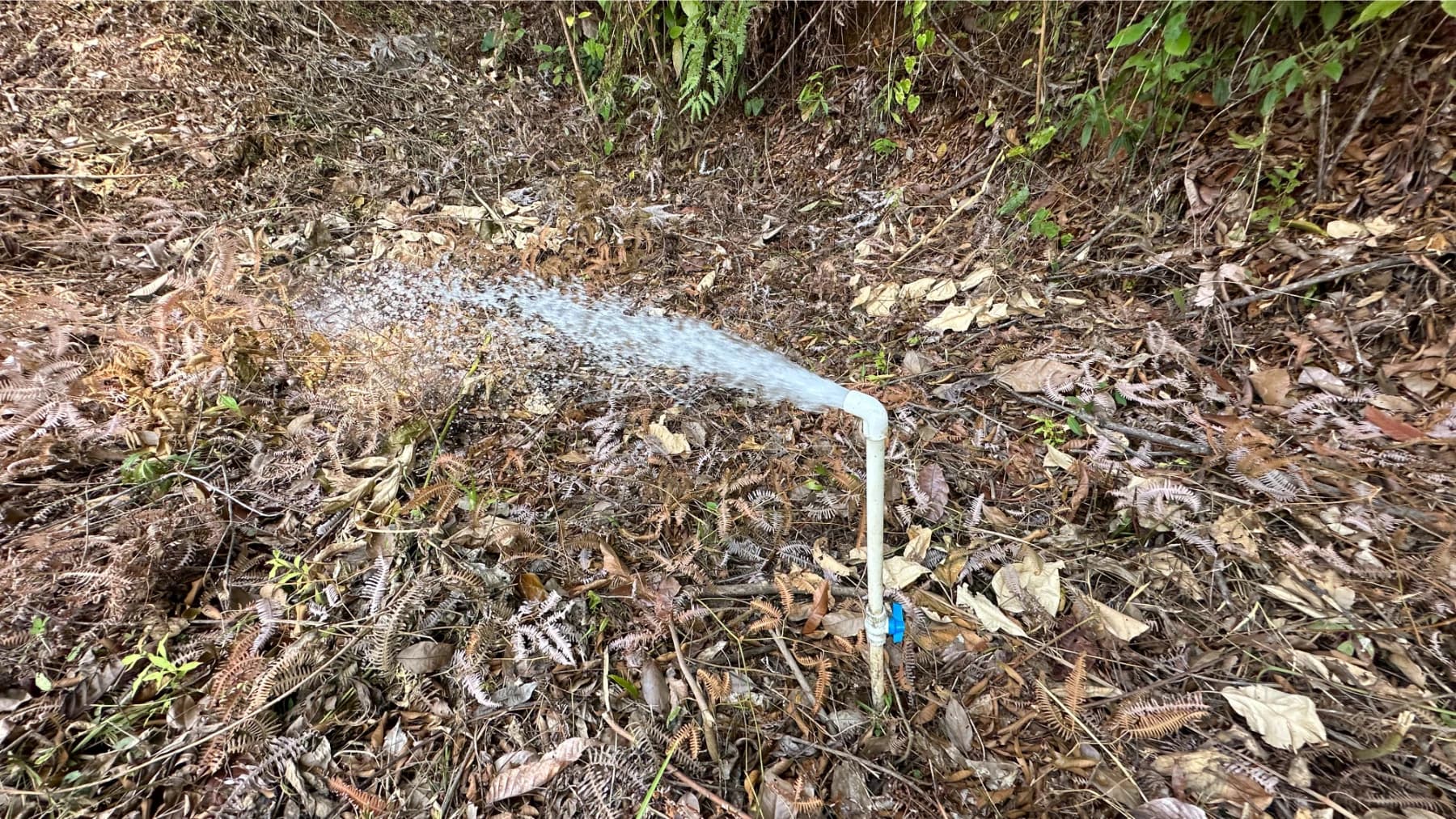 Terreno en Savegre
