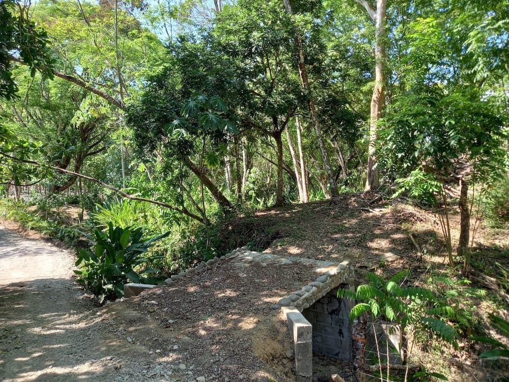 Land at Cóbano
