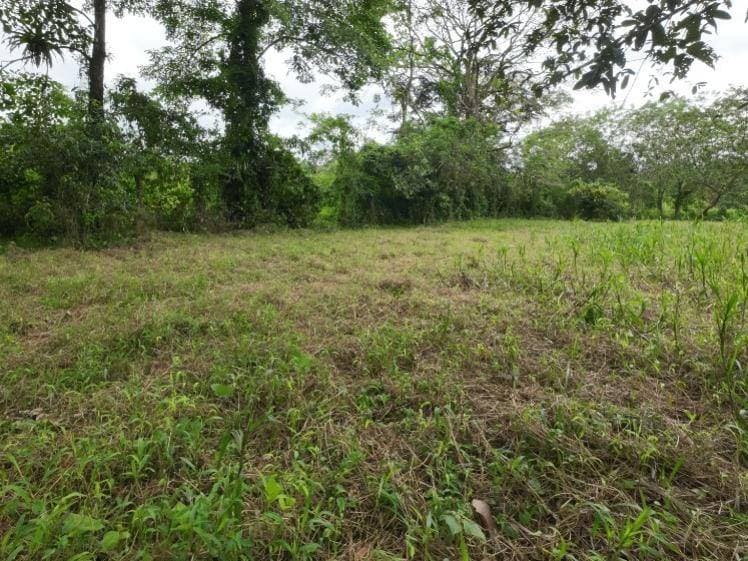 Propiedad en Peñas Blancas