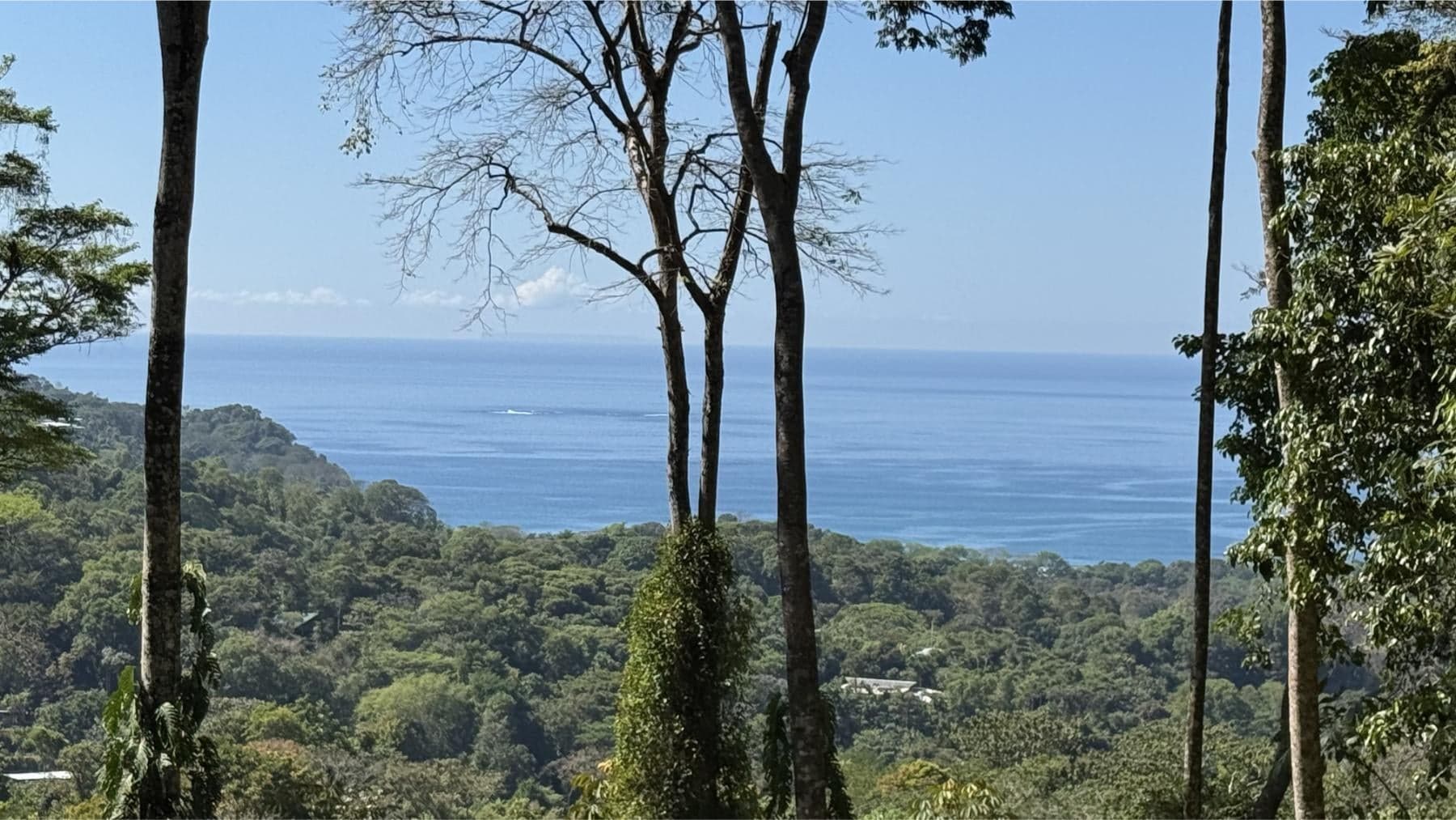Terreno en Bahía Ballena