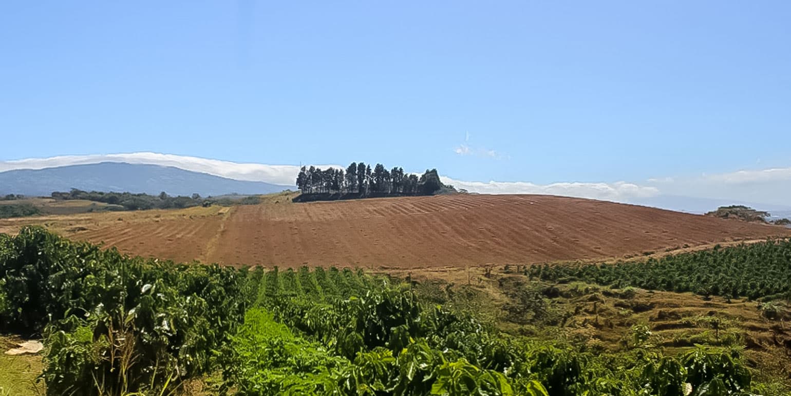 Propiedad en Carrillos