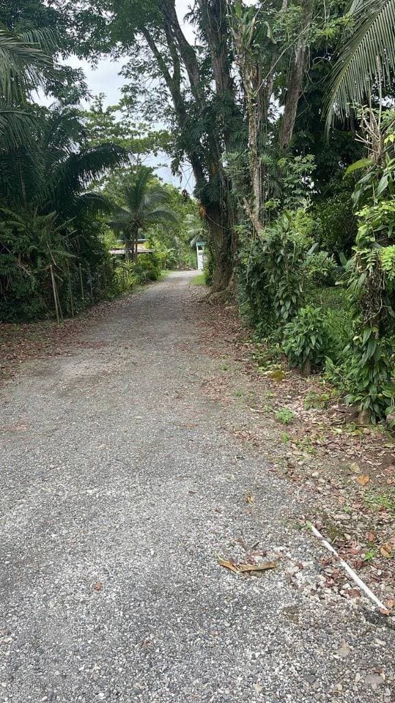 Property at Manzanillo