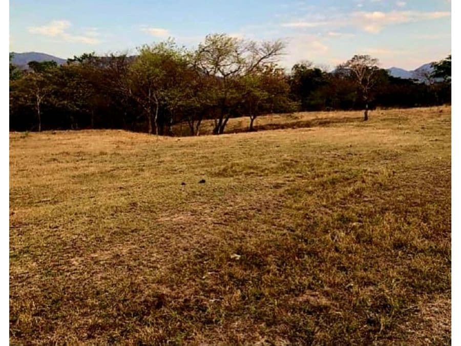 Property at Santa Cruz