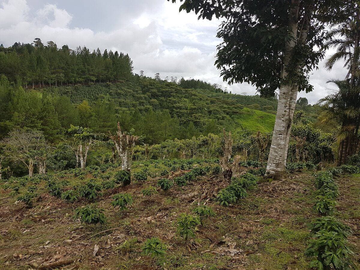 Property at San Vito
