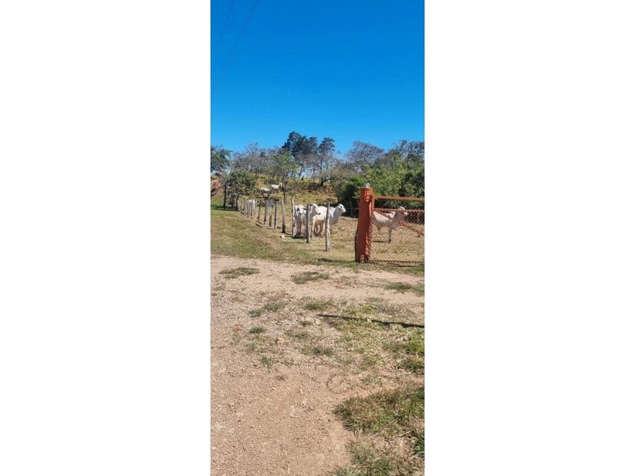 Propiedad en Piedades Sur