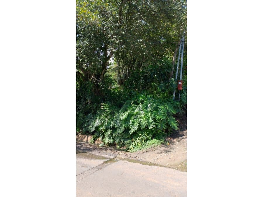 Finca en Concepción