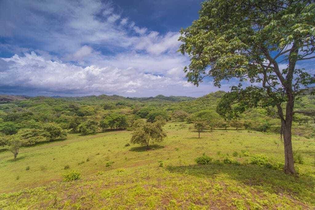 Estate at Tamarindo