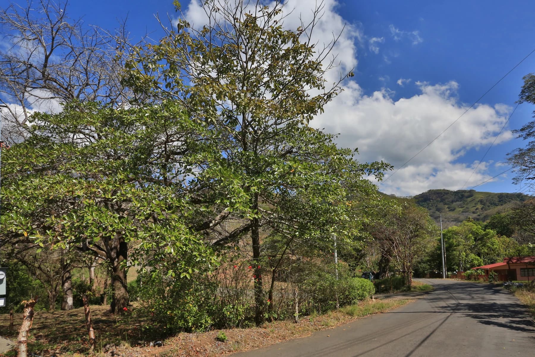 Terreno en Escobal