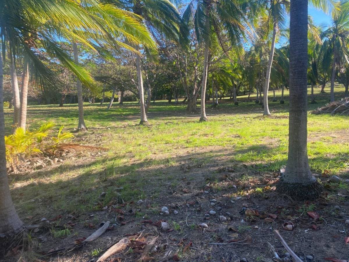 Propiedad en La Cruz