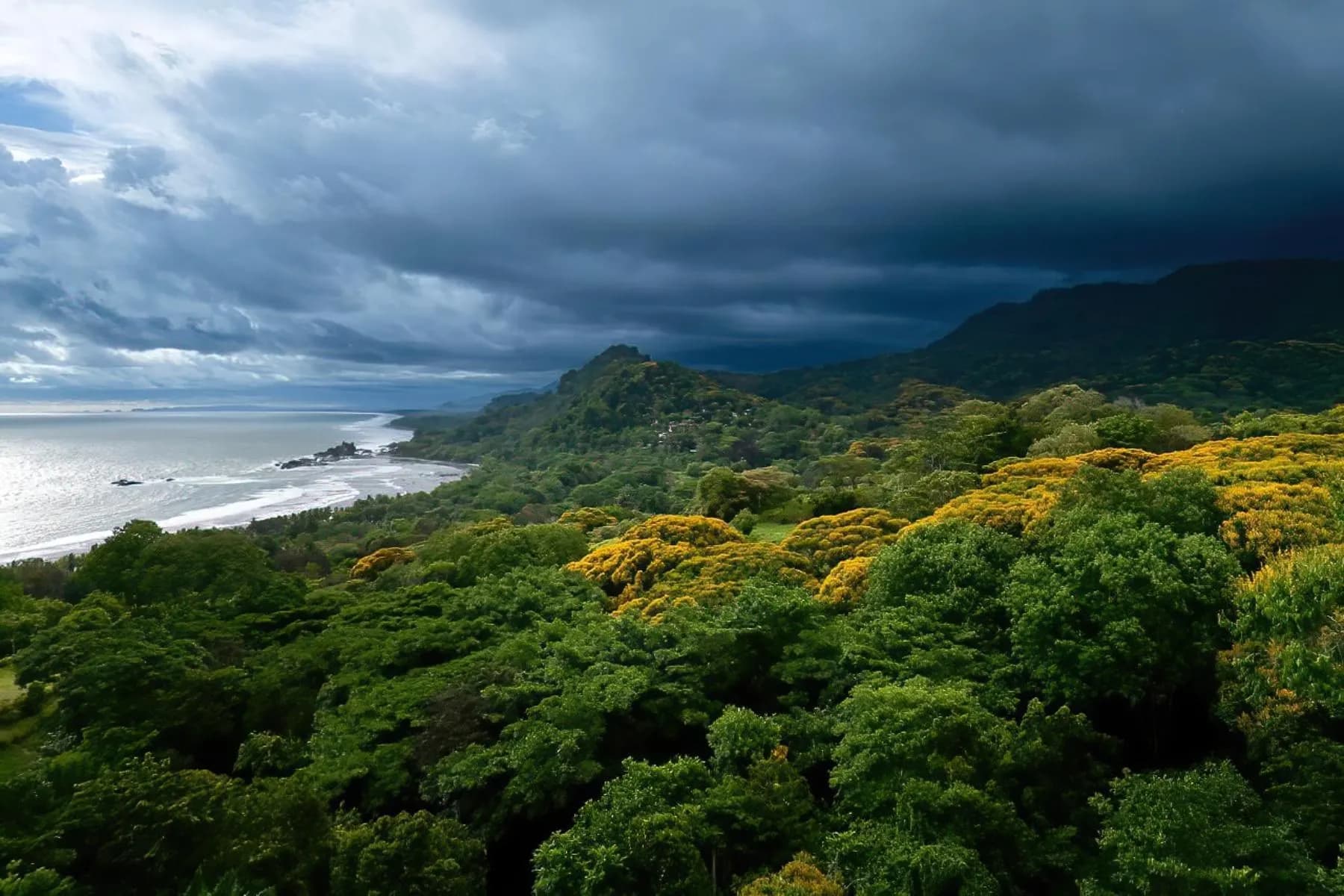 House at Bahía Ballena