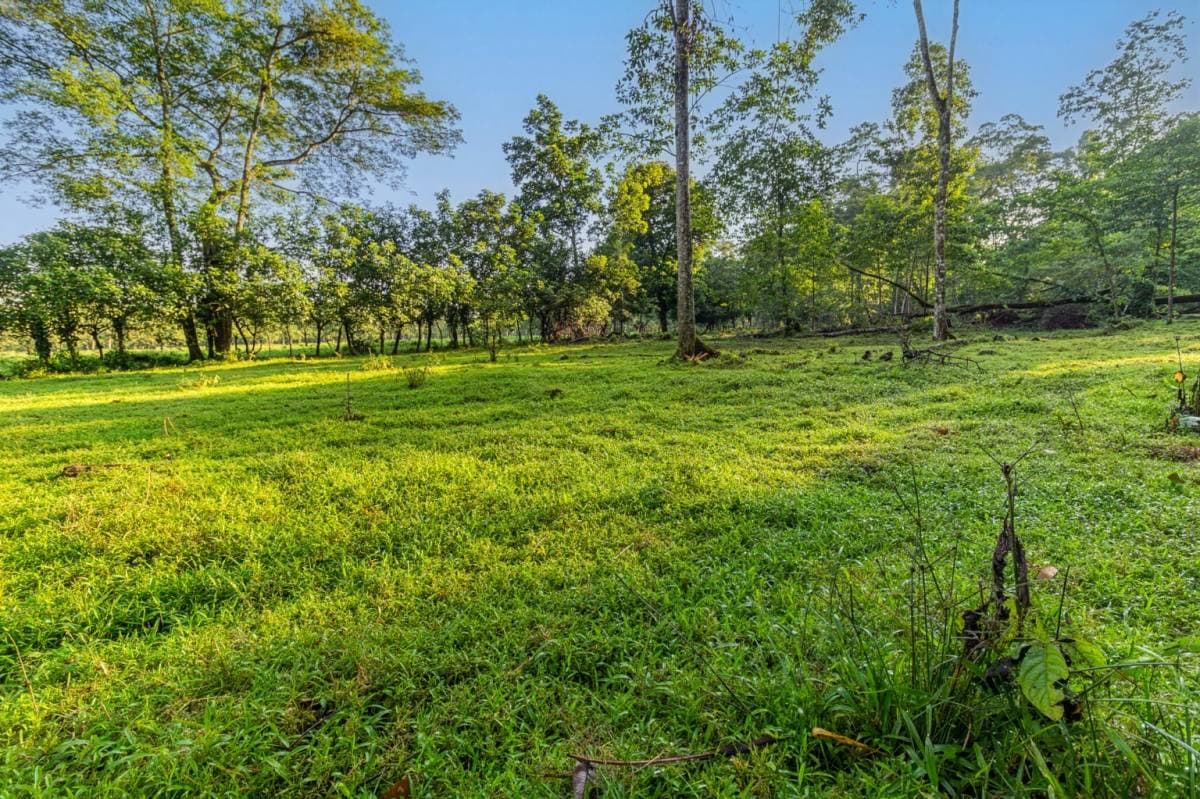 Estate at Guápiles