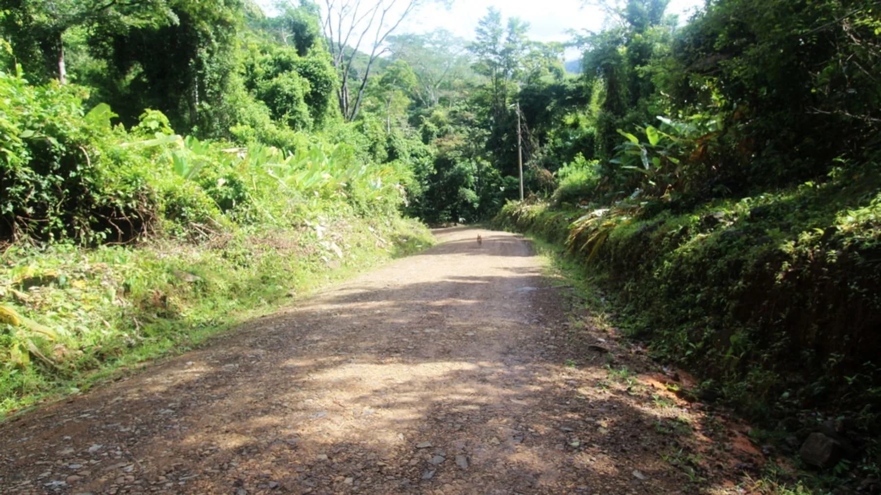 Terreno en Bahía Ballena