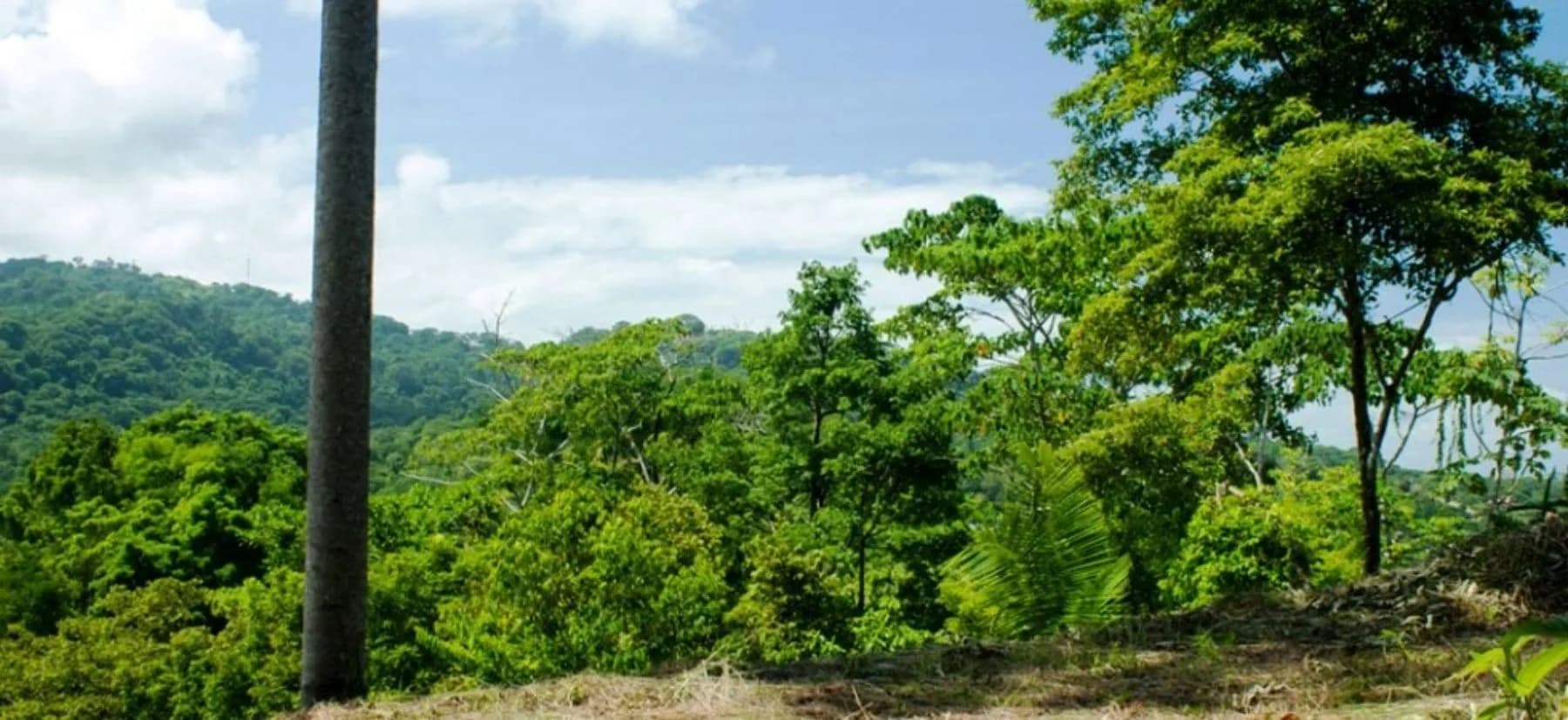 Land at Bahía Ballena
