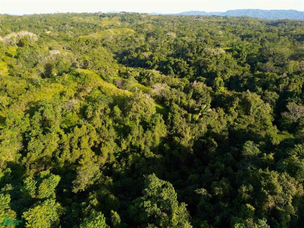 Comercial en Cóbano