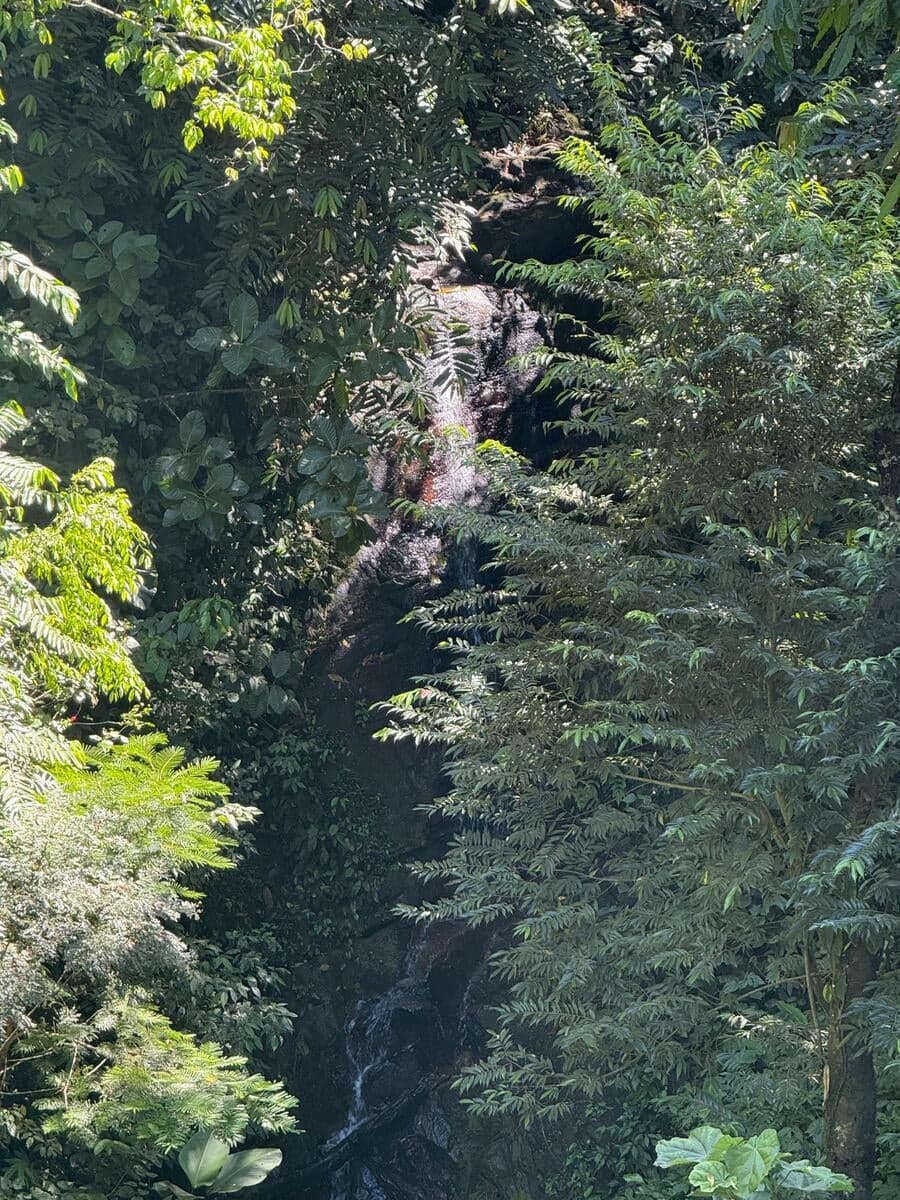Land at Bahía Ballena