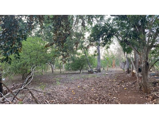 Propiedad en Alajuela