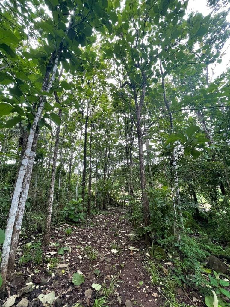Propiedad en Condominio La Garita