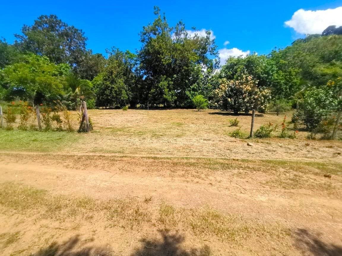 Property at Puerto Cortés