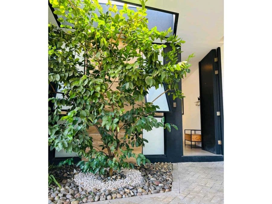 Propiedad en Condominio Evora