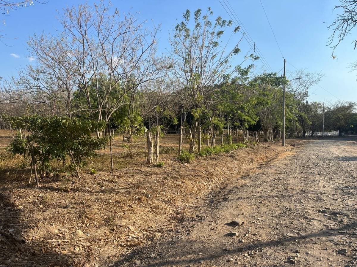 Property at Liberia