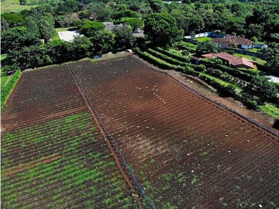 Propiedad en Alajuela