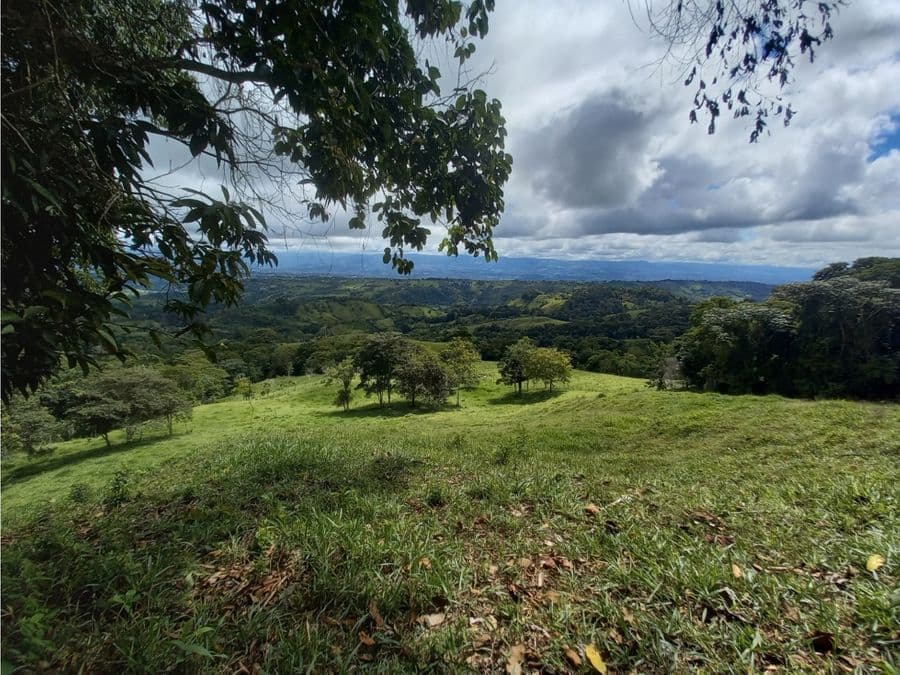Estate at San Isidro del General