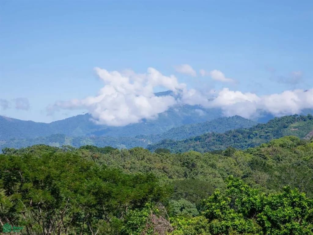 Land at Quepos