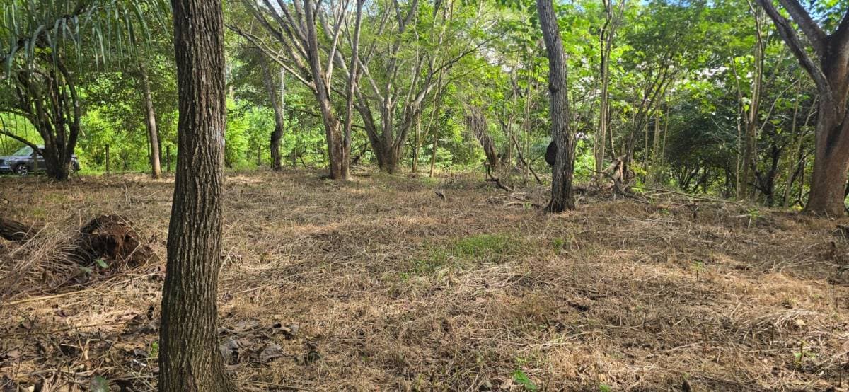 Property at Espíritu Santo