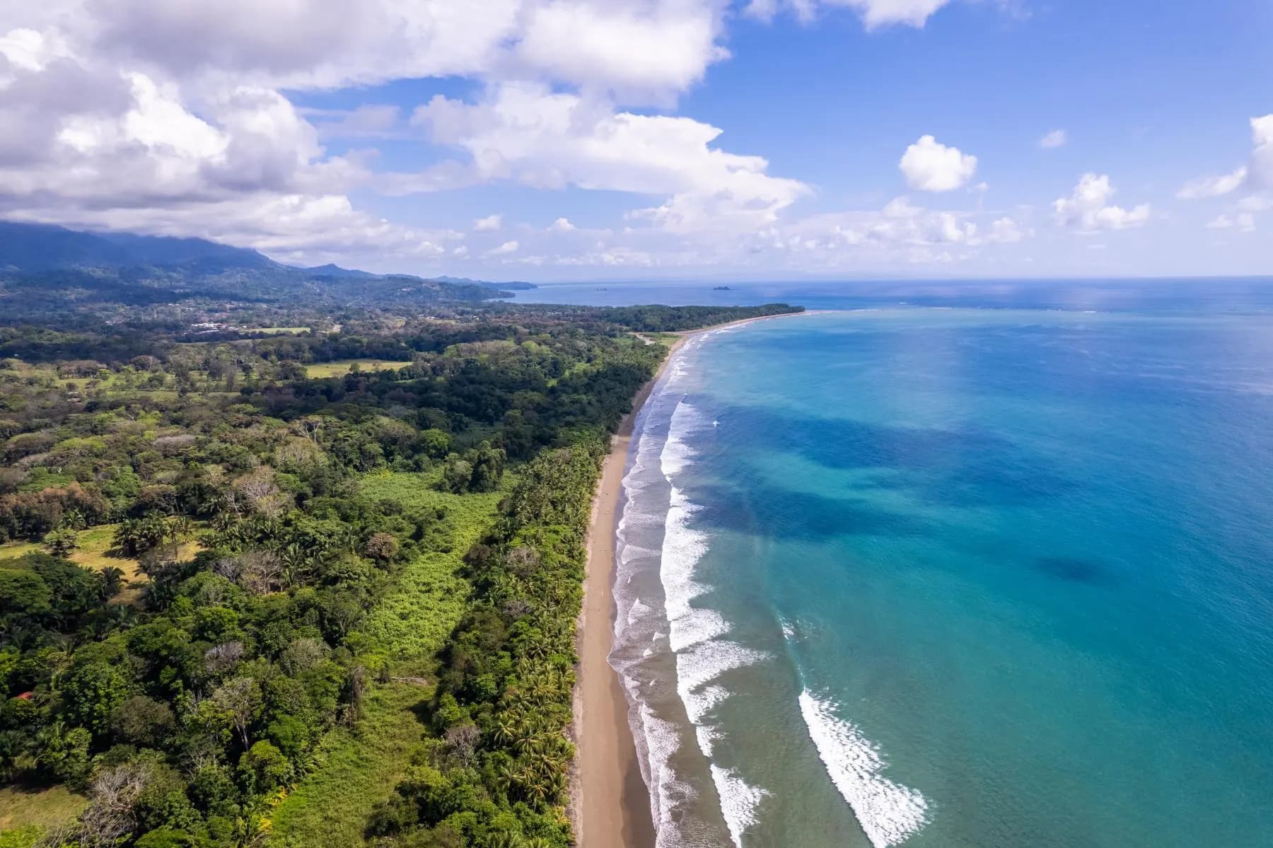 Land at Bahía Ballena