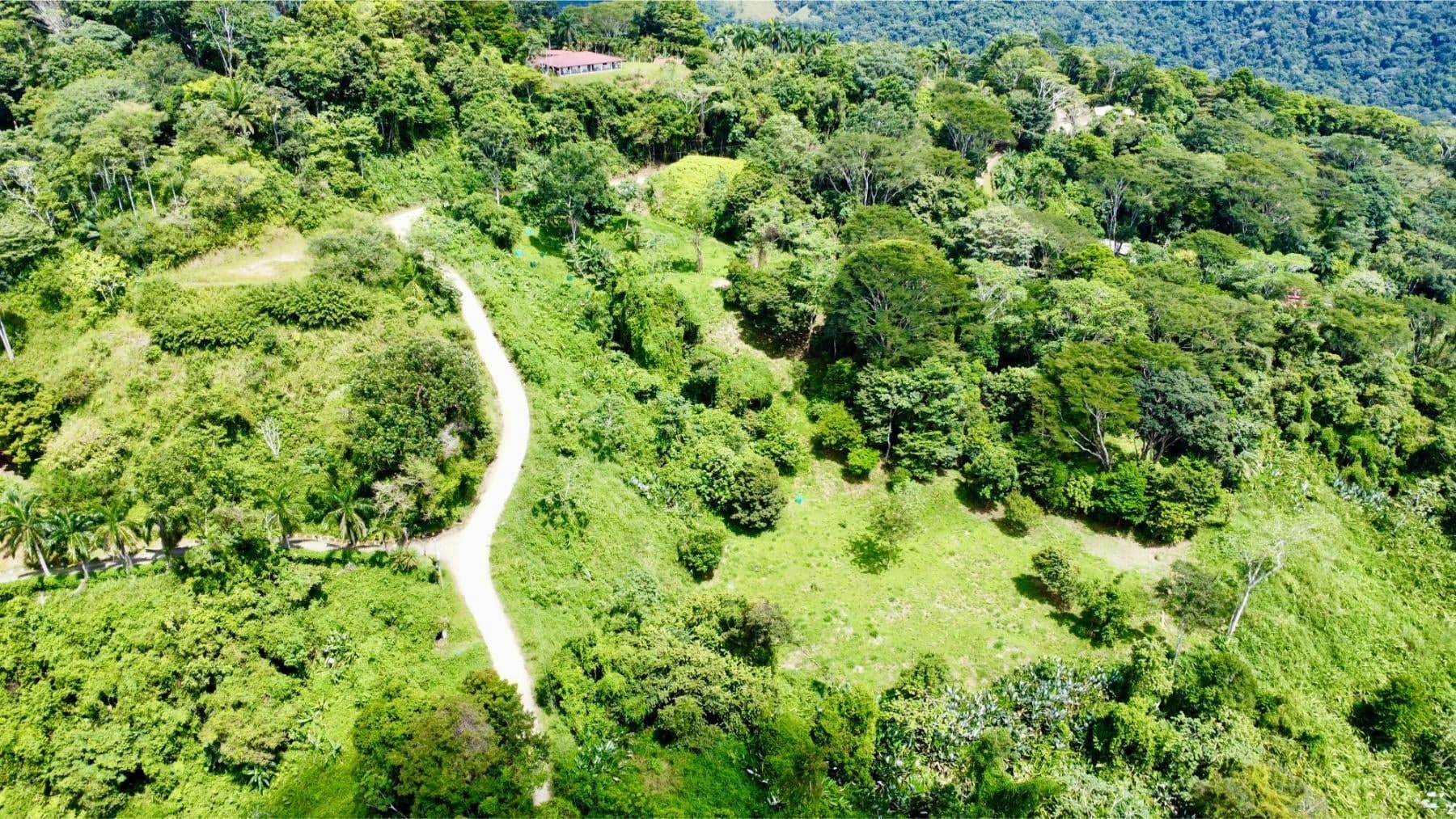 Terreno en Bahía Ballena