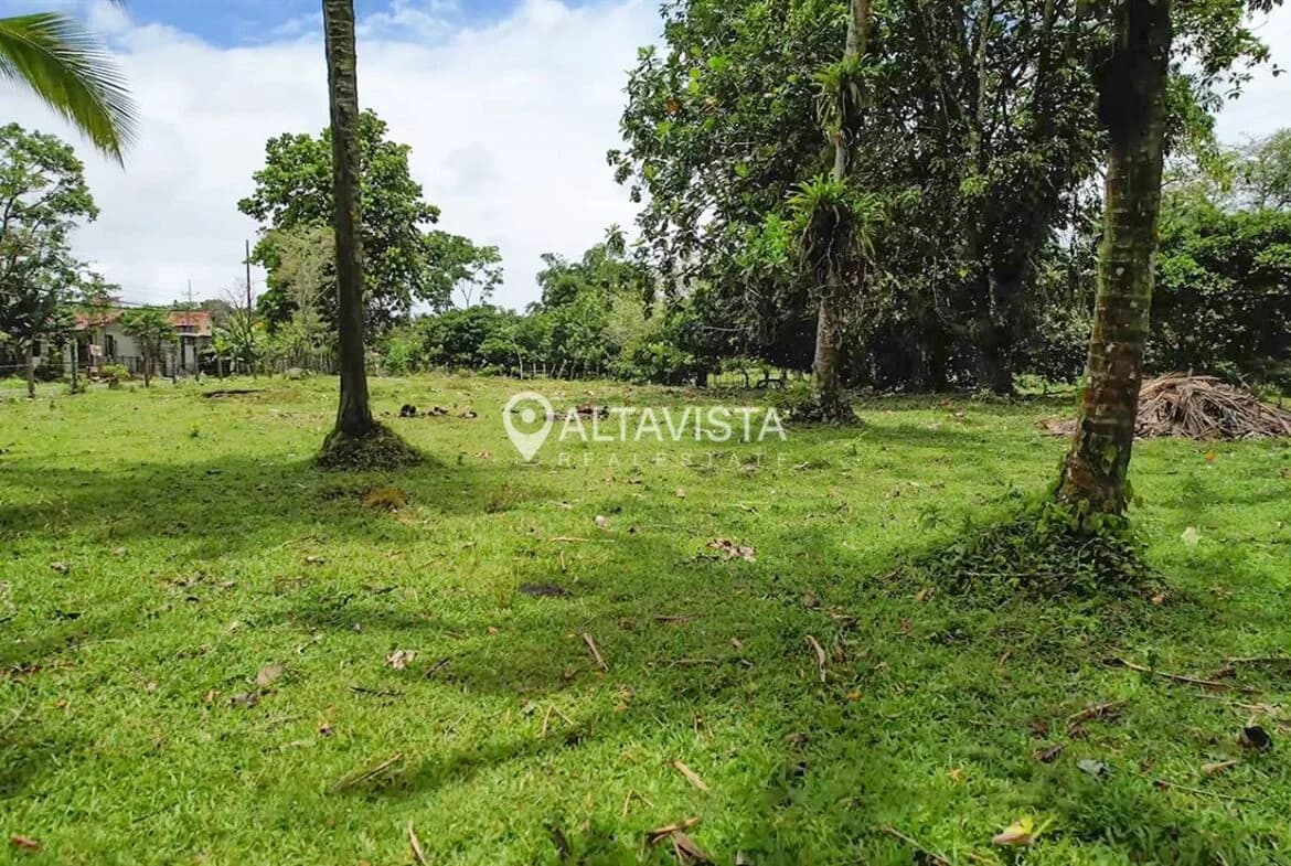 Propiedad en Guápiles