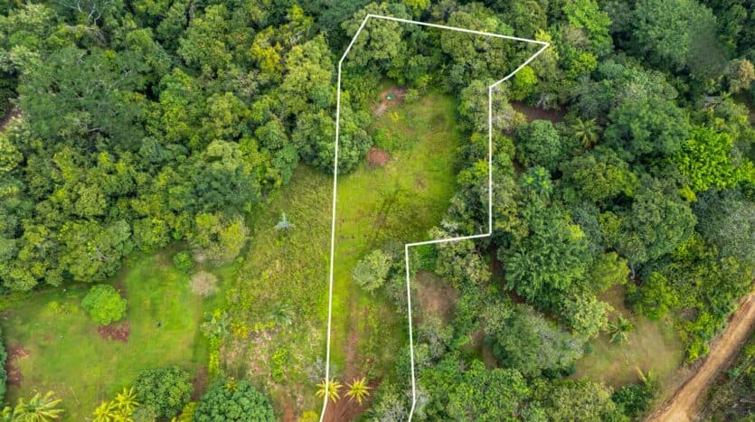 Land at Las Delicias