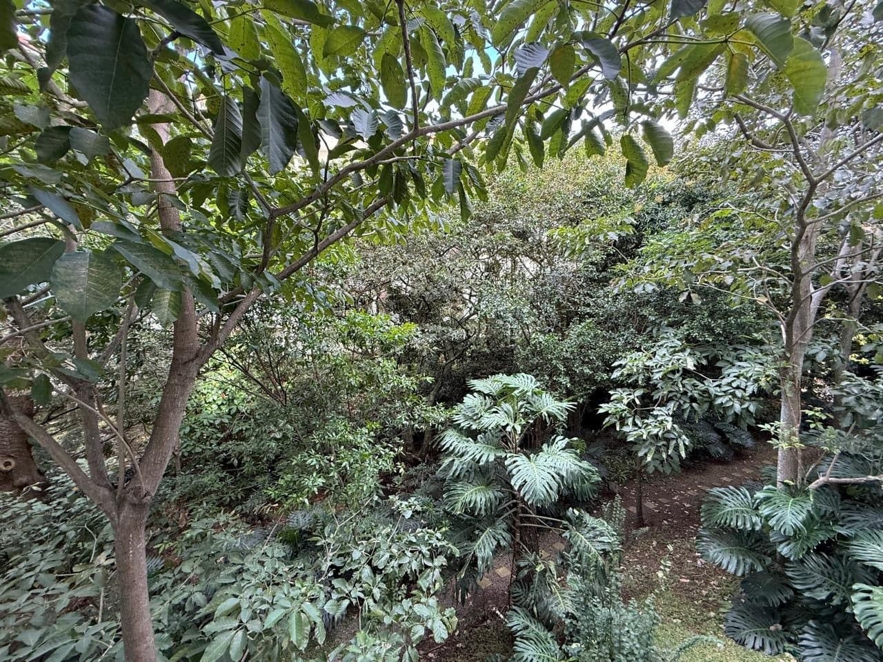 Propiedad en Distrito Cuatro