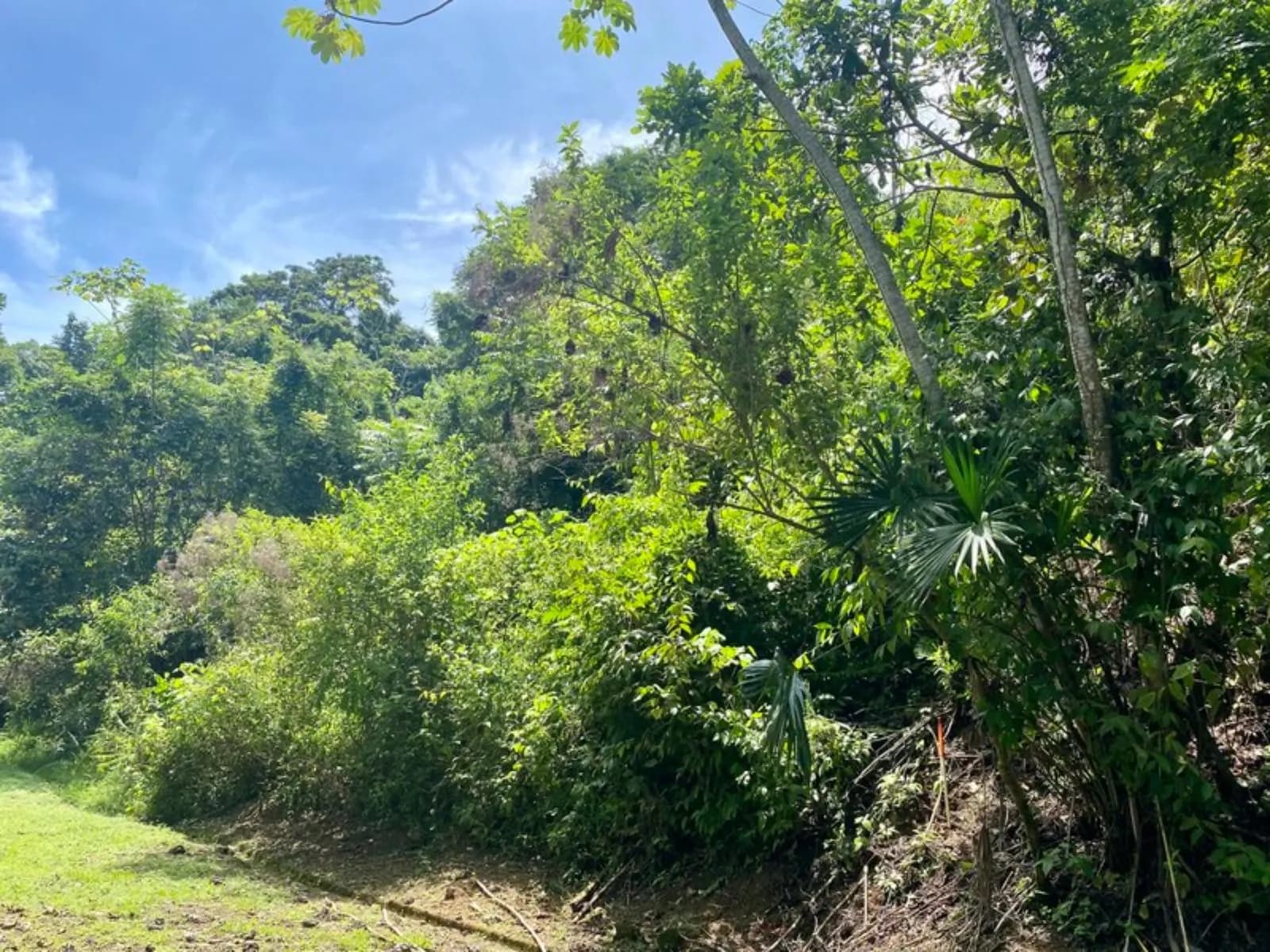 Land at Puerto Cortés