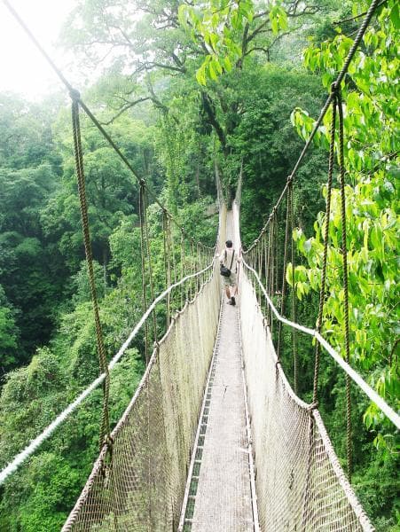 Terreno en Parrita