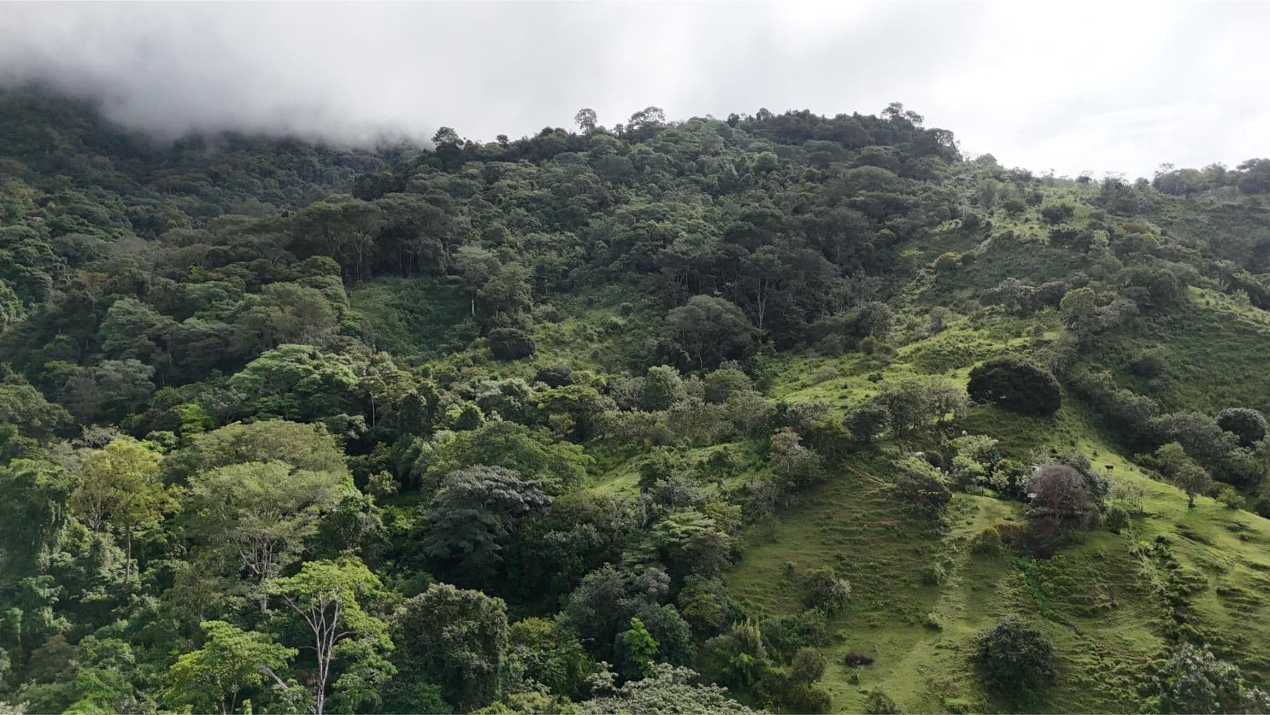 Land at Bahía Ballena