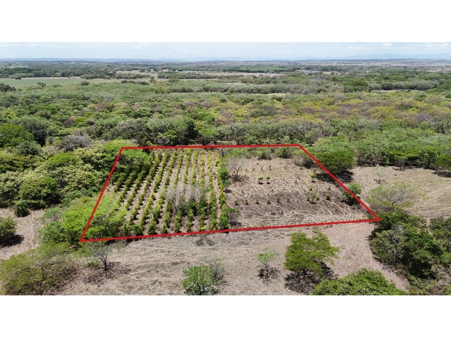 Terreno en Liberia
