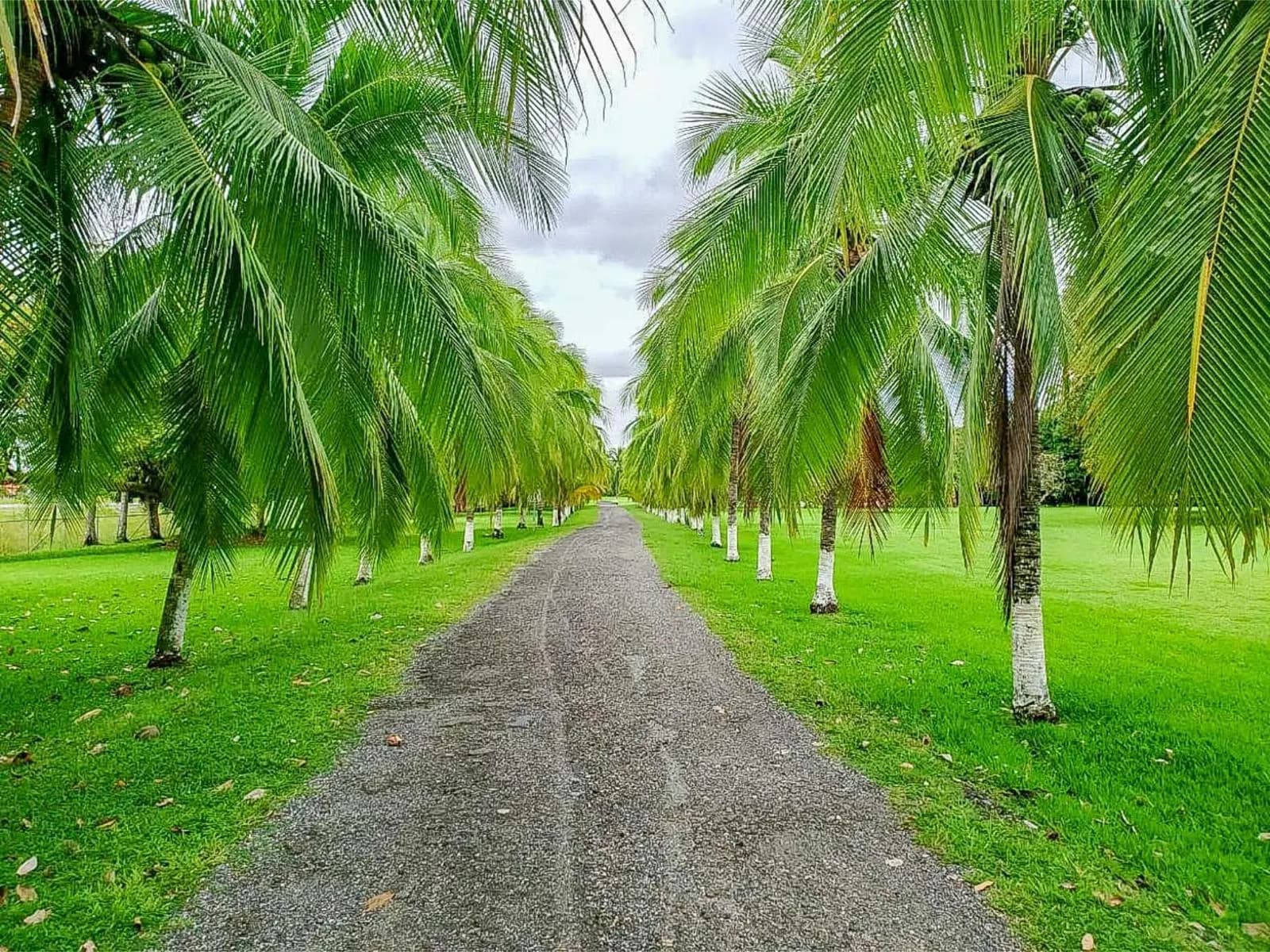 Casa en Puerto Cortés