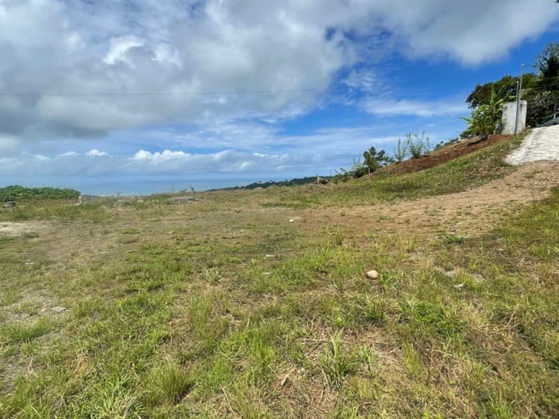 Terreno en Bahía Ballena
