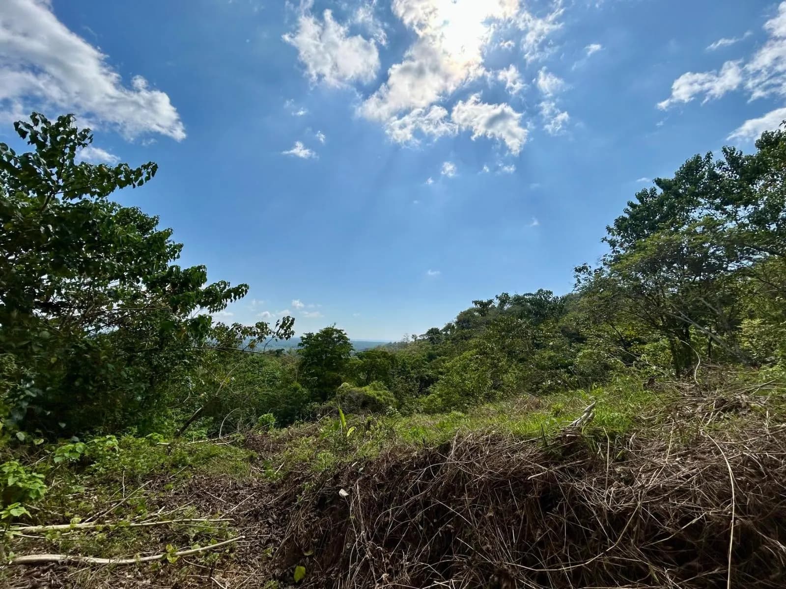 Land at Puerto Cortés
