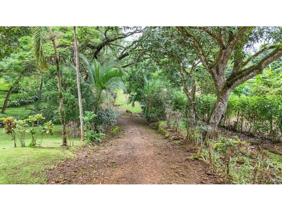 Finca en Tárcoles